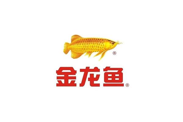 金龍魚